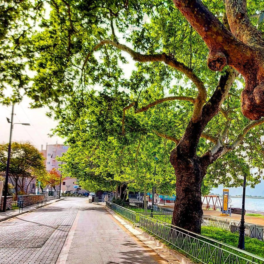 Nafpaktos Beach Luxury Suites Eksteriør bilde